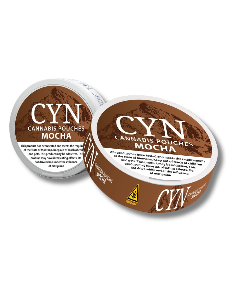 CYN Pouches - Mocha